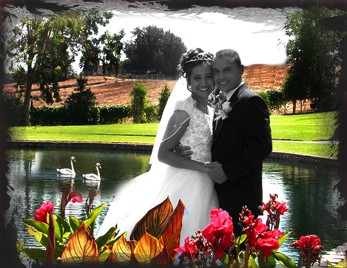 The Aurora Gallery Image